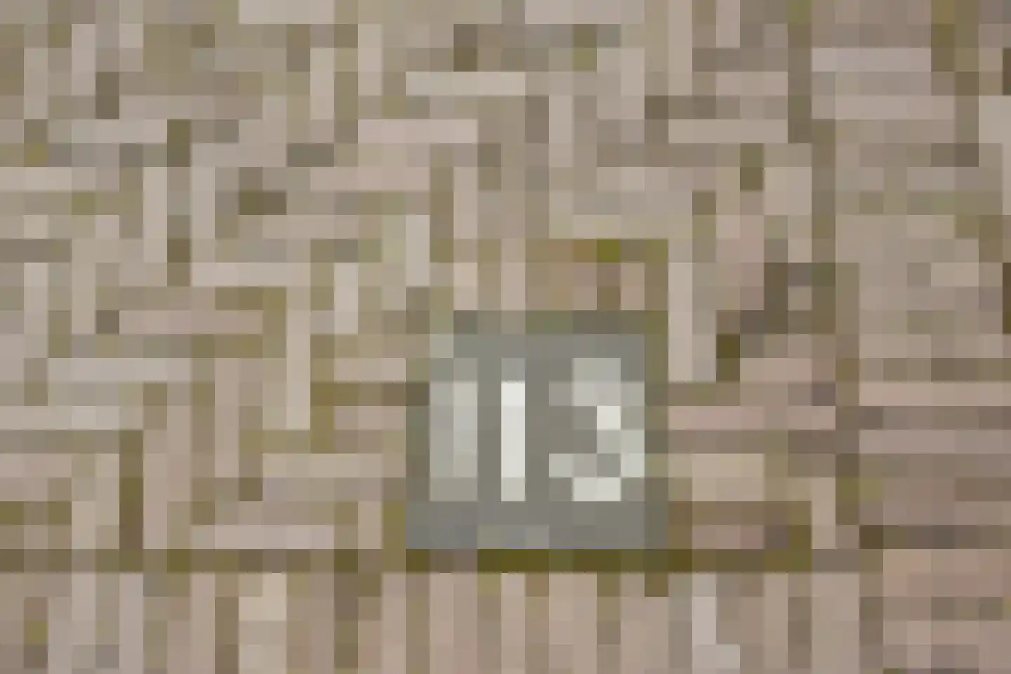 Thérèse Schwartzestraat 113 Den Haag thumbnail 47