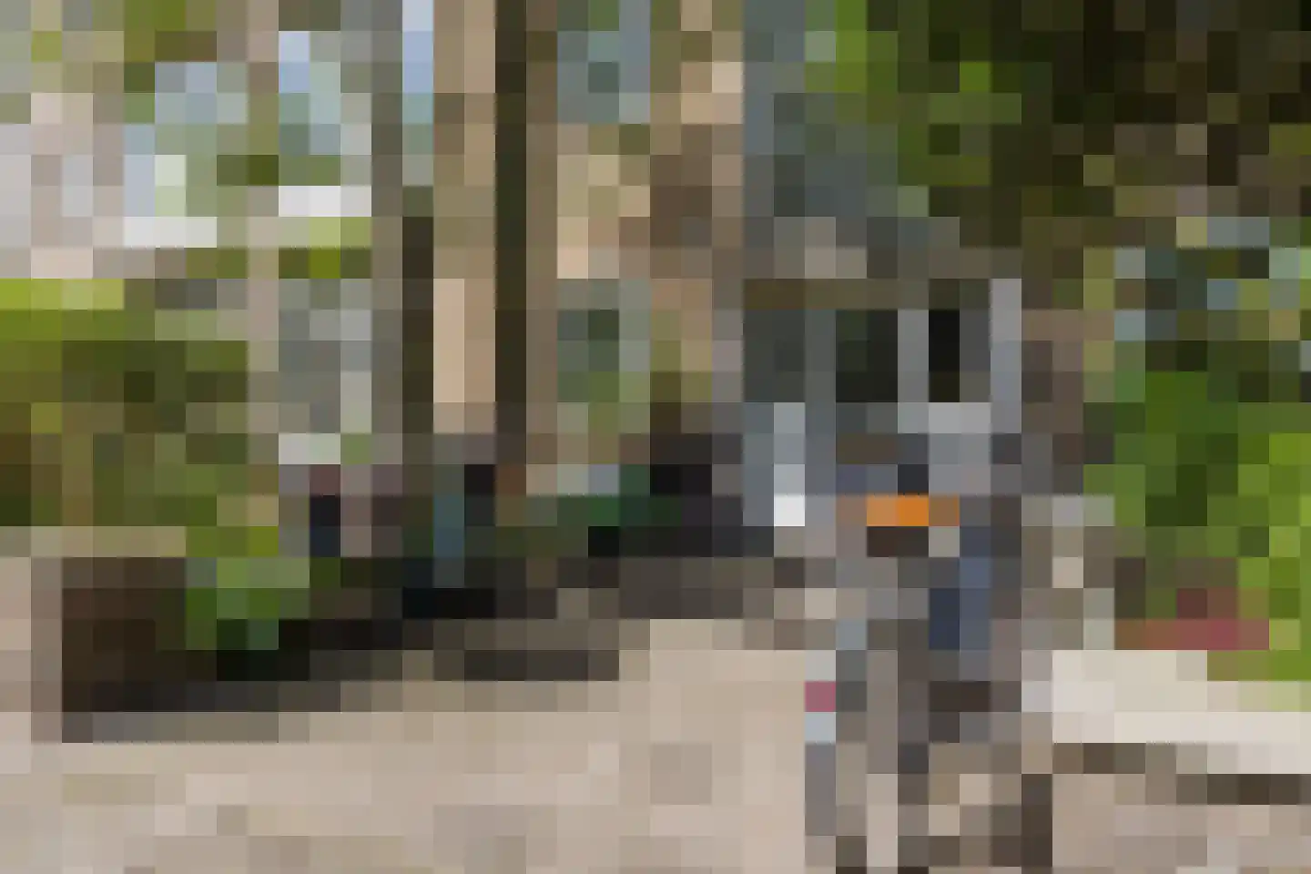 Thérèse Schwartzestraat 116 Den Haag thumbnail 7