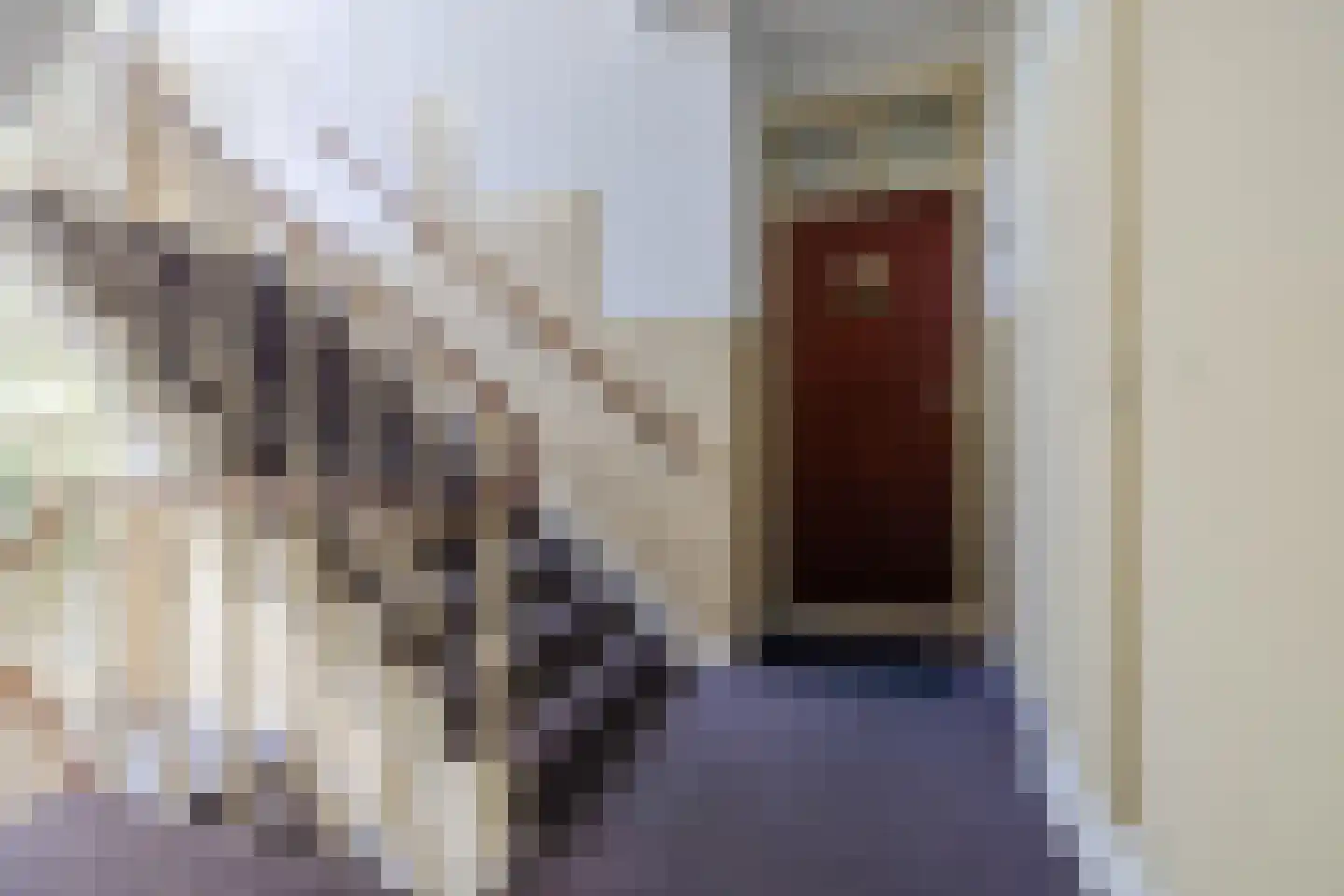 Thérèse Schwartzestraat 116 Den Haag thumbnail 9