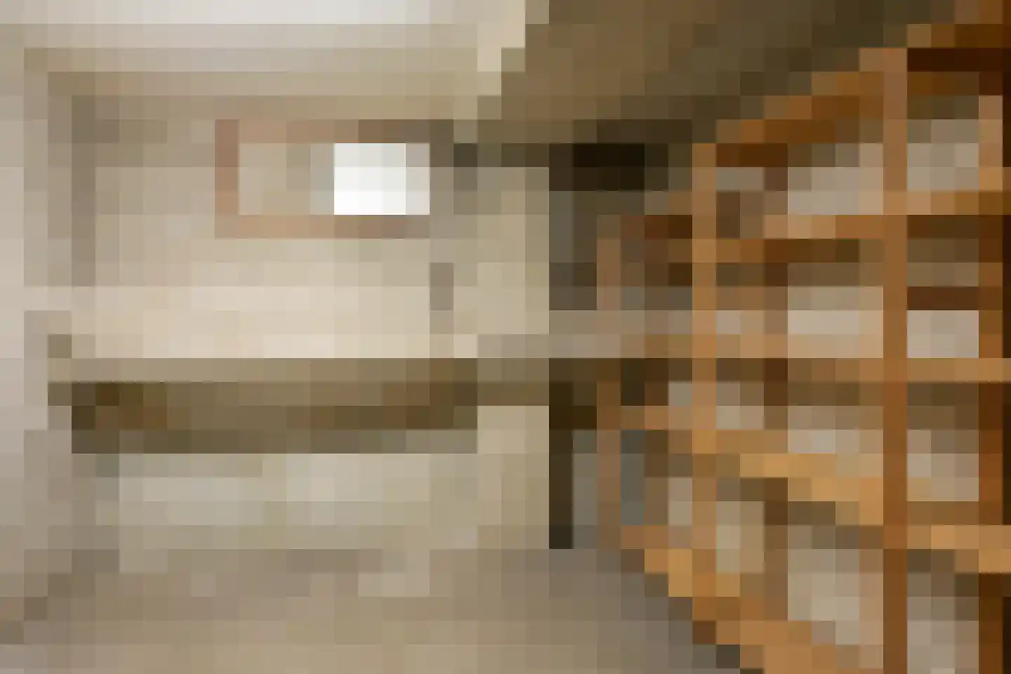Thérèse Schwartzestraat 26 Den Haag thumbnail 32