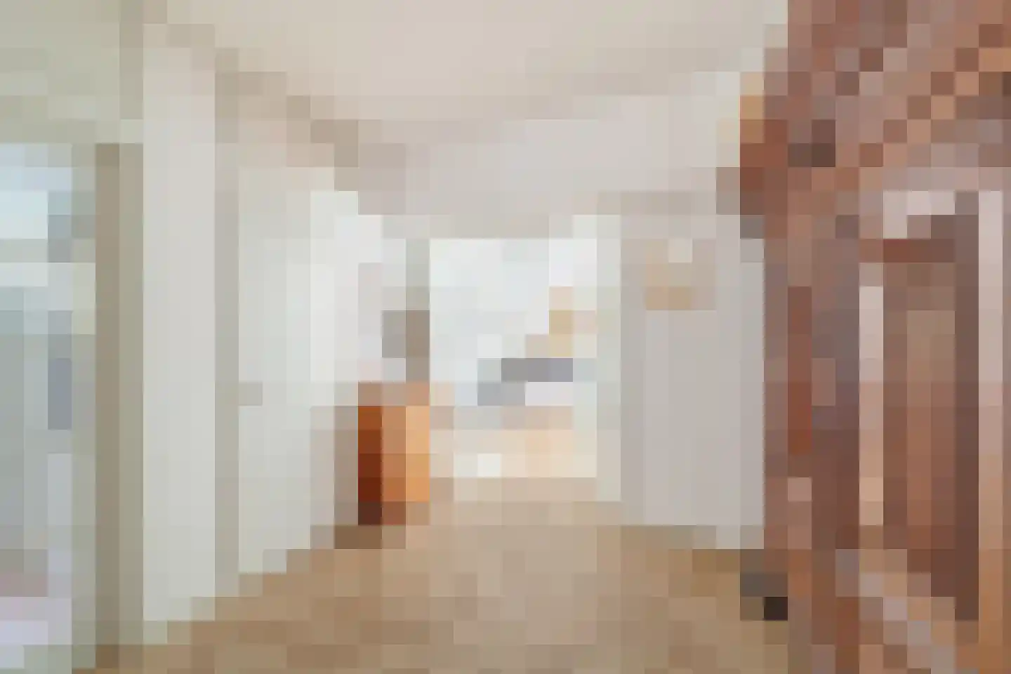 Thérèse Schwartzestraat 52 Den Haag thumbnail 4