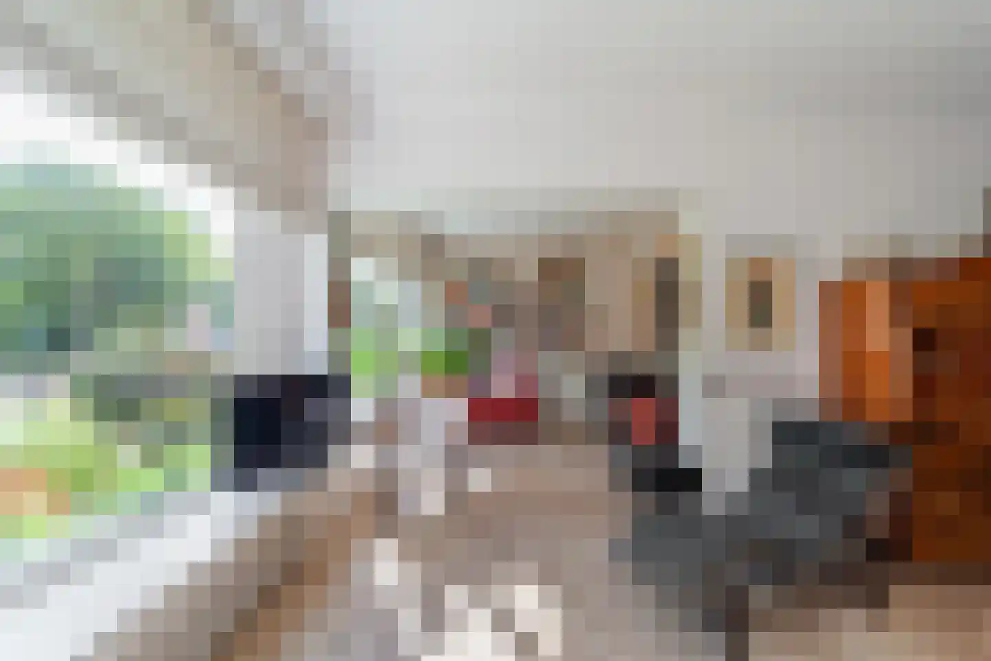 Thérèse Schwartzestraat 52 Den Haag thumbnail 7