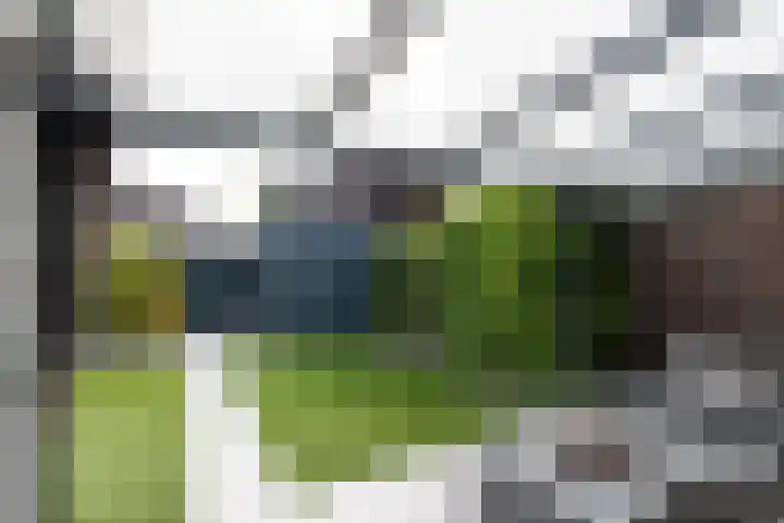 Thérèse Schwartzestraat 67 Almere thumbnail 54