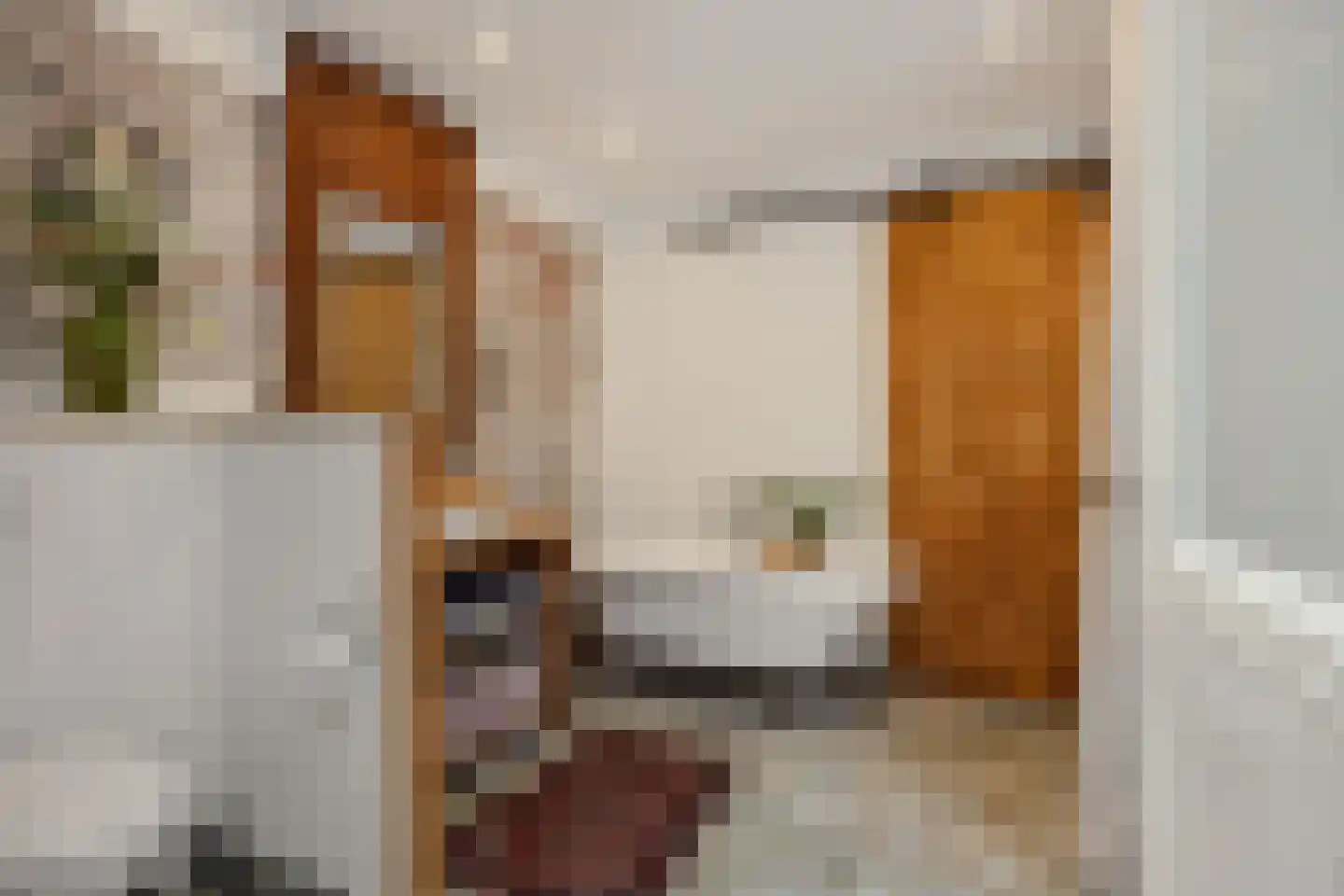 Theresialaan 103 Vught thumbnail 13