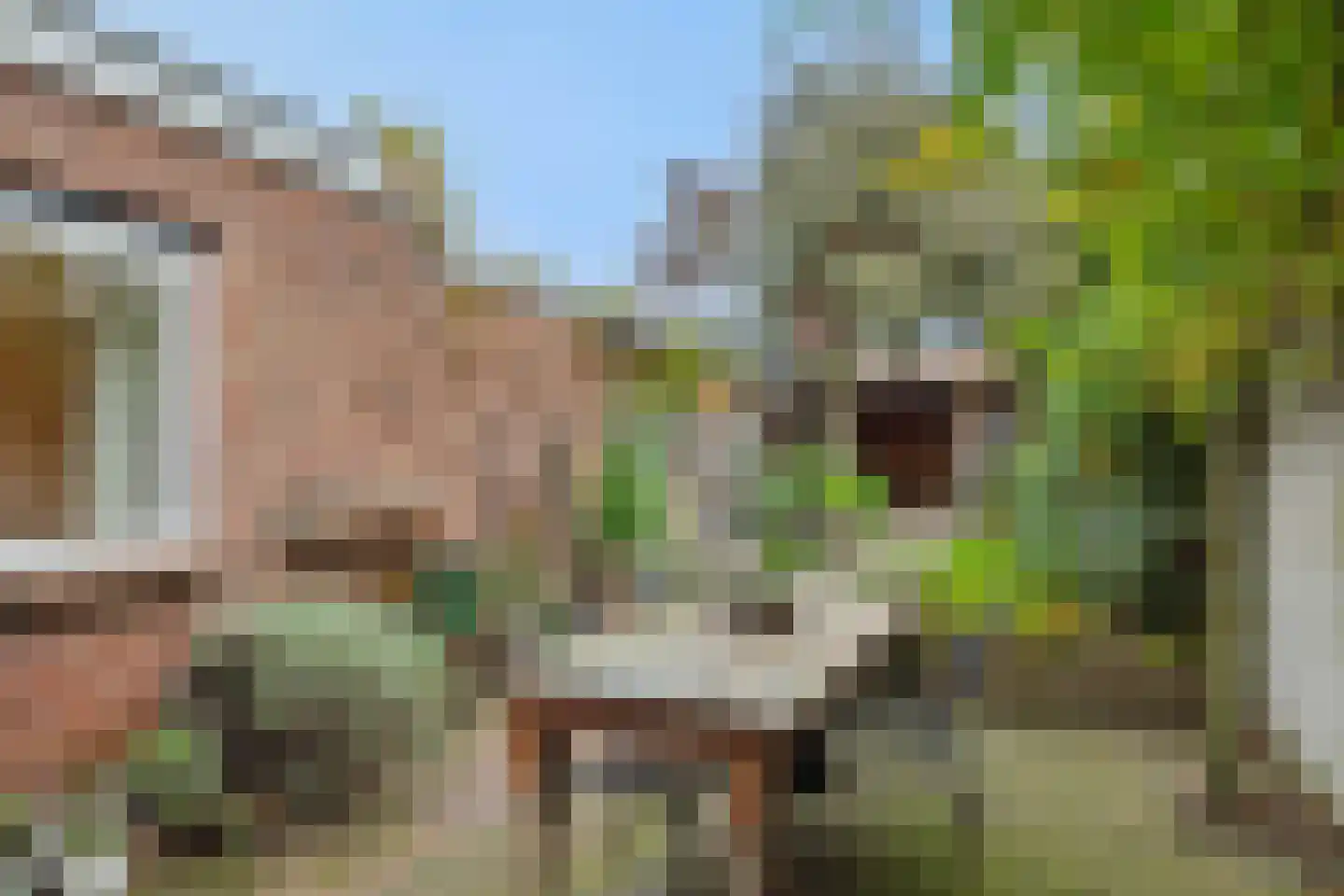 Theresialaan 103 Vught thumbnail 25
