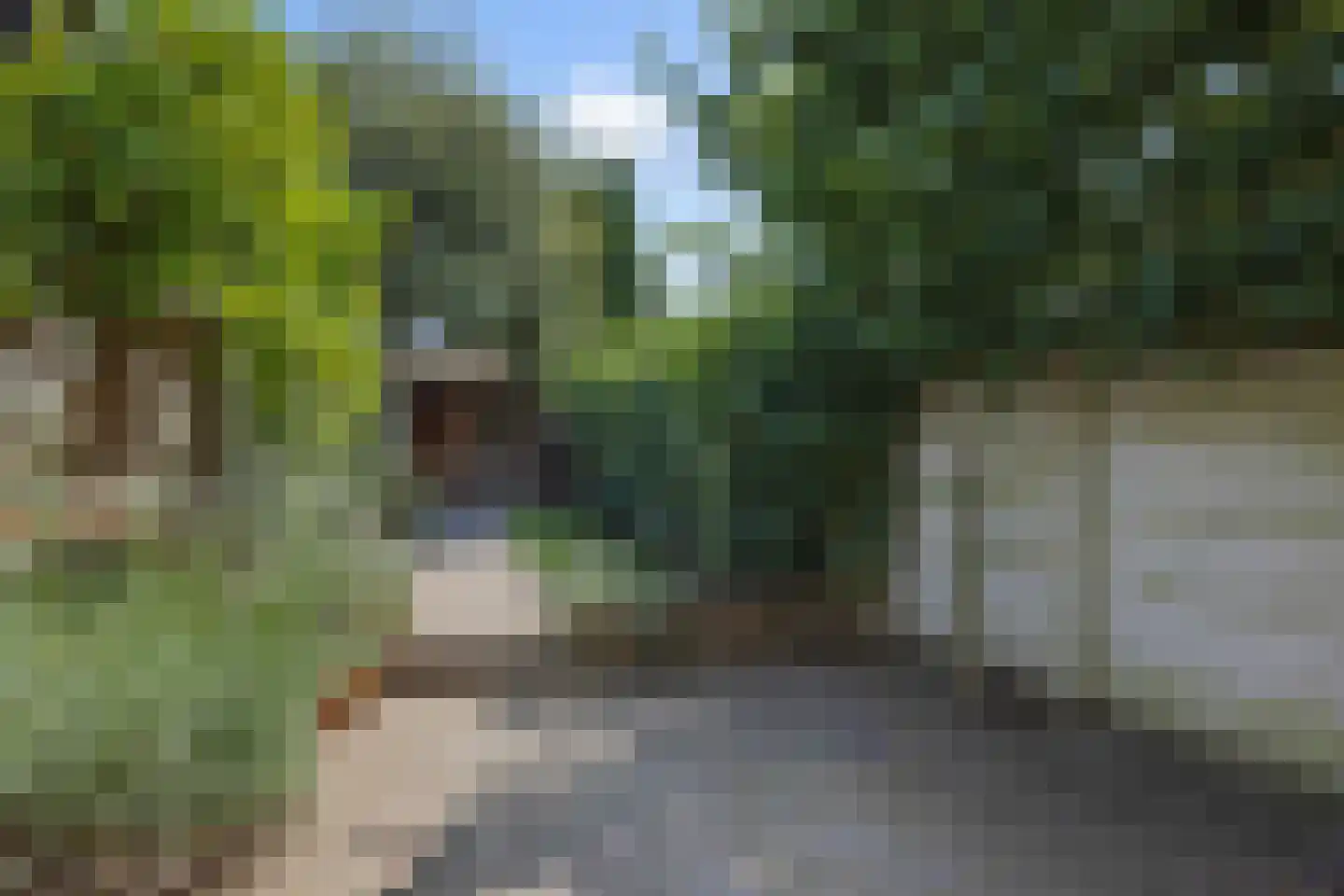 Theresialaan 103 Vught thumbnail 26
