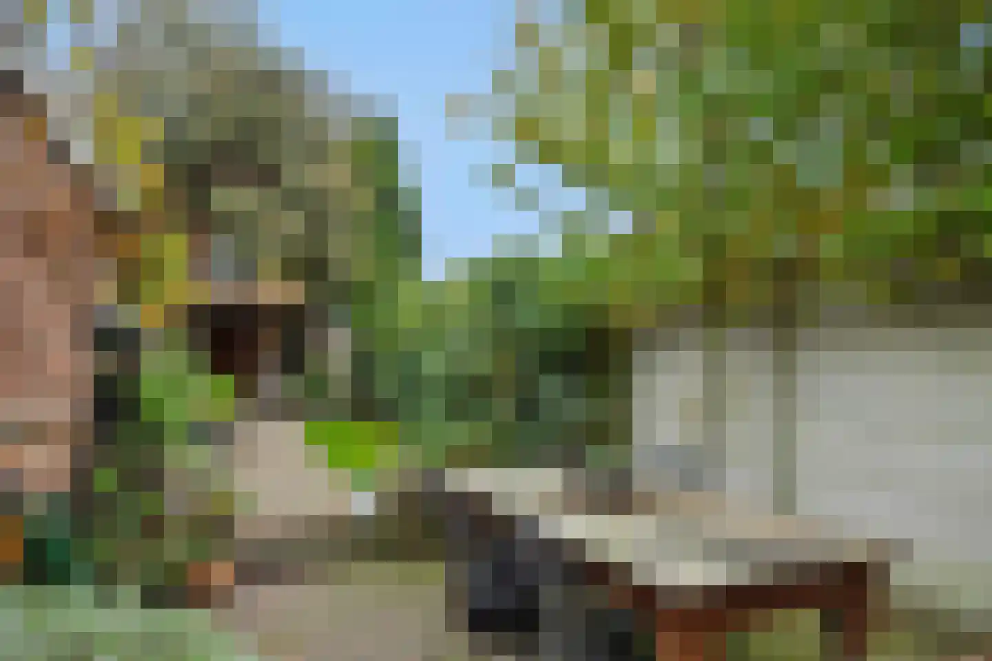 Theresialaan 103 Vught thumbnail 26