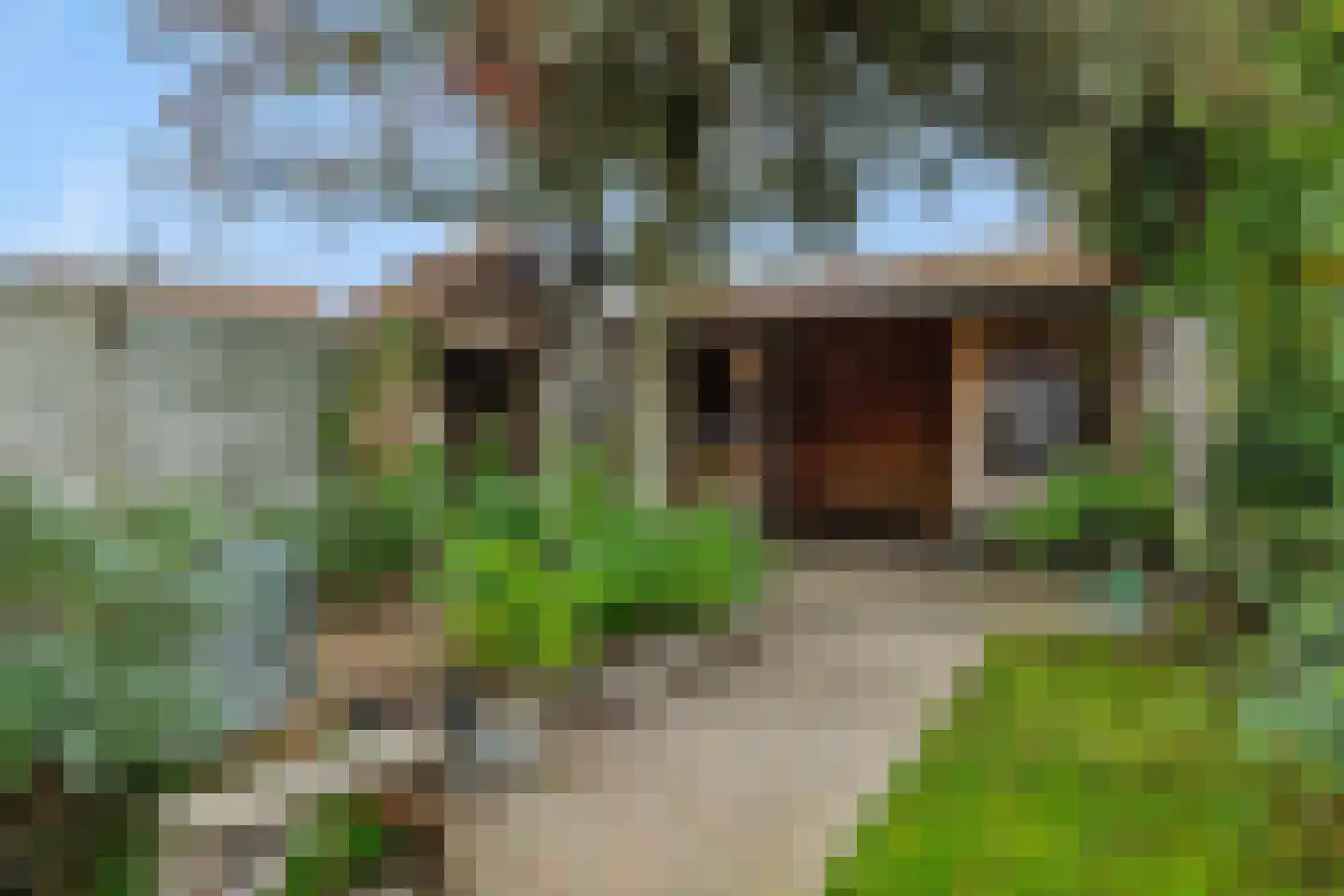 Theresialaan 103 Vught thumbnail 27