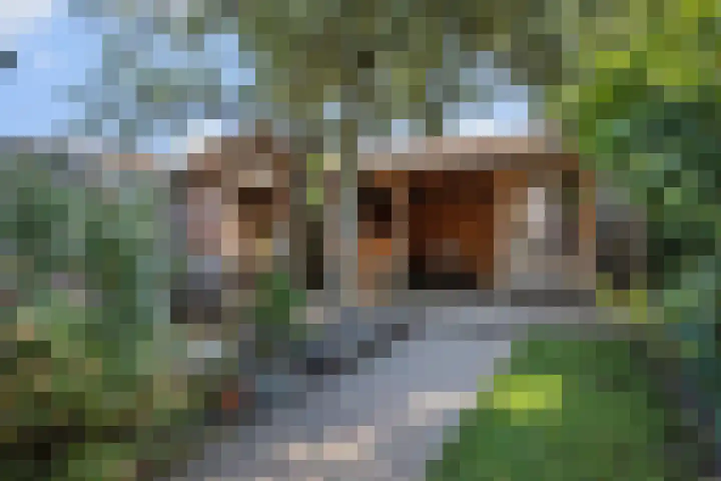 Theresialaan 103 Vught thumbnail 28