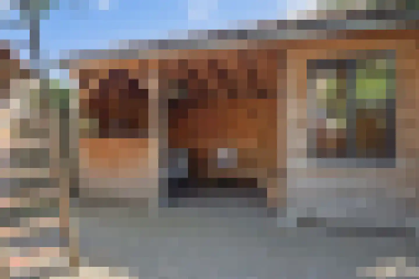 Theresialaan 103 Vught thumbnail 30