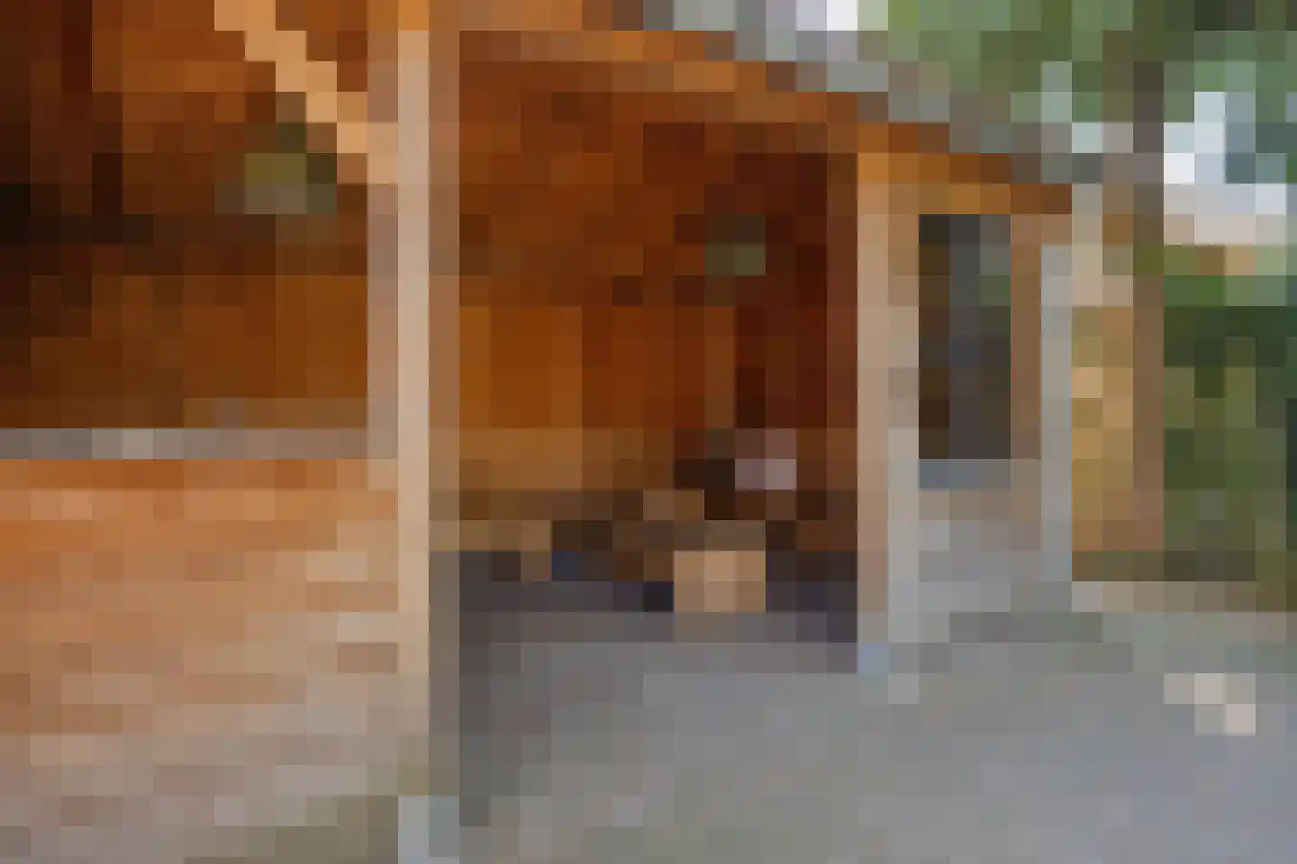 Theresialaan 103 Vught thumbnail 31