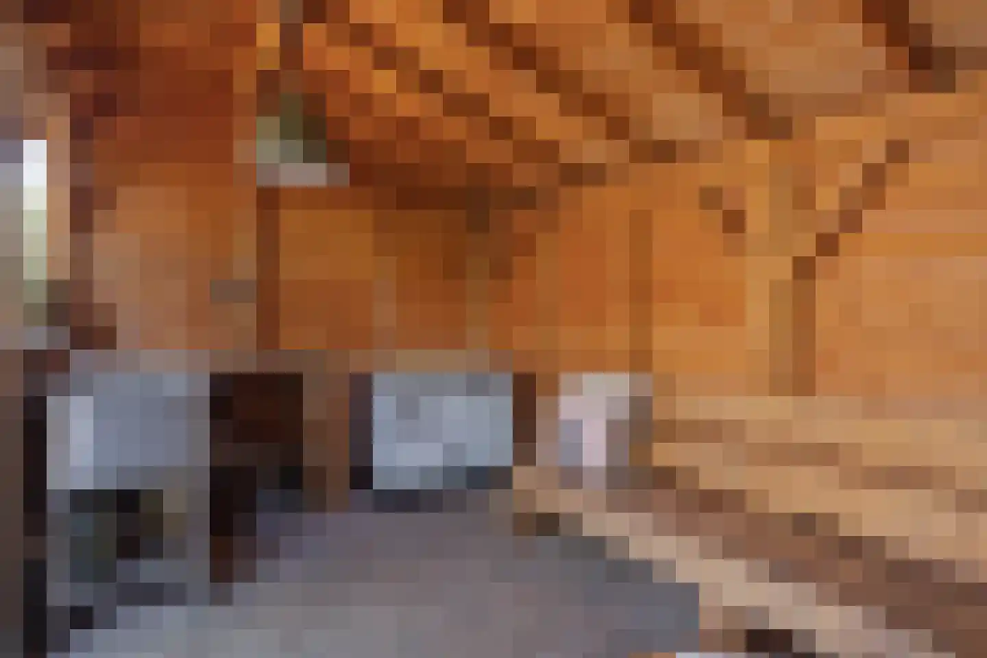 Theresialaan 103 Vught thumbnail 32