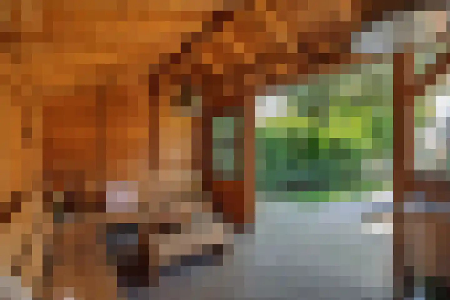 Theresialaan 103 Vught thumbnail 33