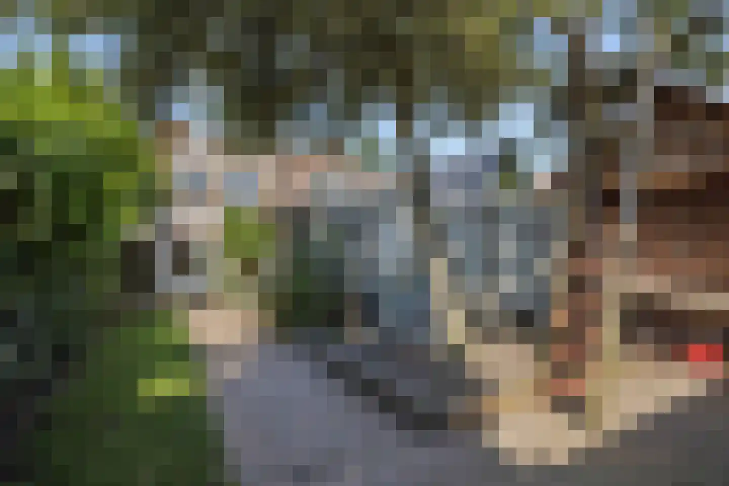 Theresialaan 103 Vught thumbnail 36
