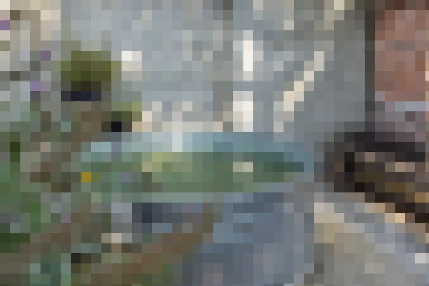 Theresialaan 103 Vught thumbnail 37