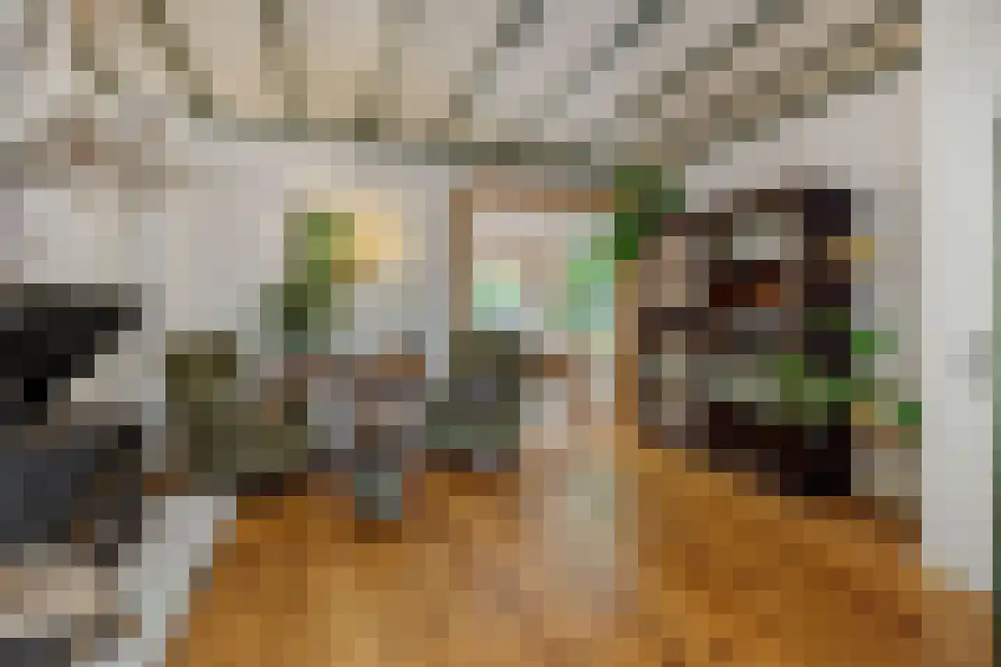 Theresialaan 103 Vught thumbnail 8