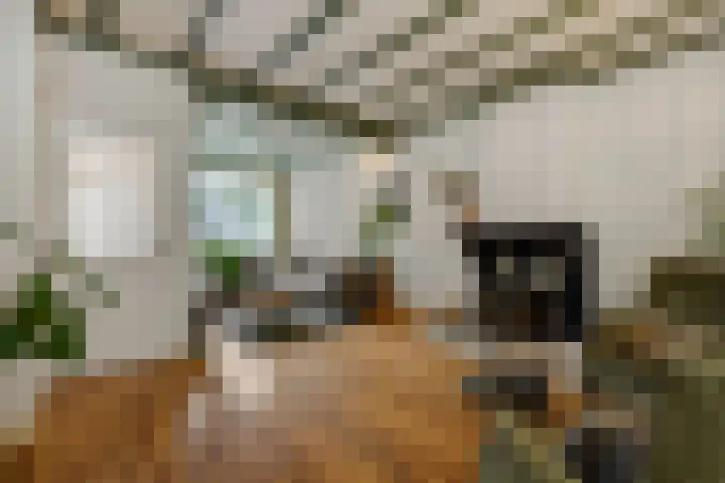 Theresialaan 103 Vught thumbnail 9