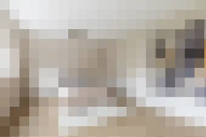 Theresialaan 14 Vught thumbnail 15