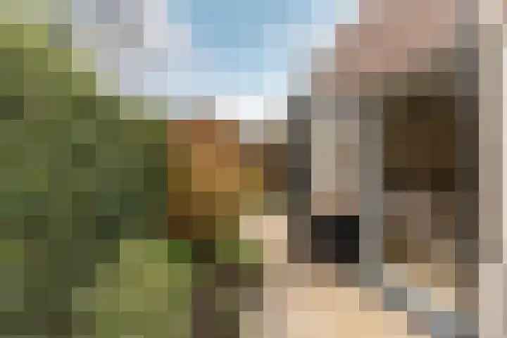 Theresialaan 14 Vught thumbnail 17