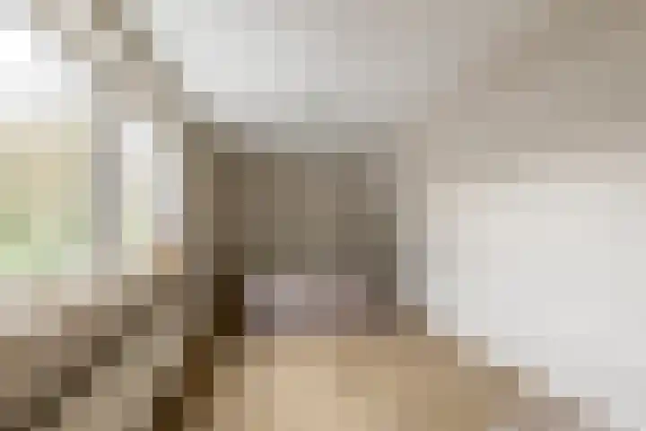 Theresialaan 14 Vught thumbnail 26