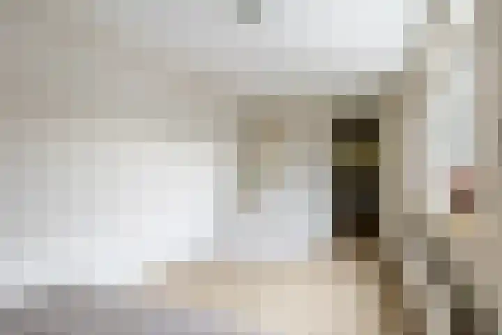 Theresialaan 14 Vught thumbnail 27
