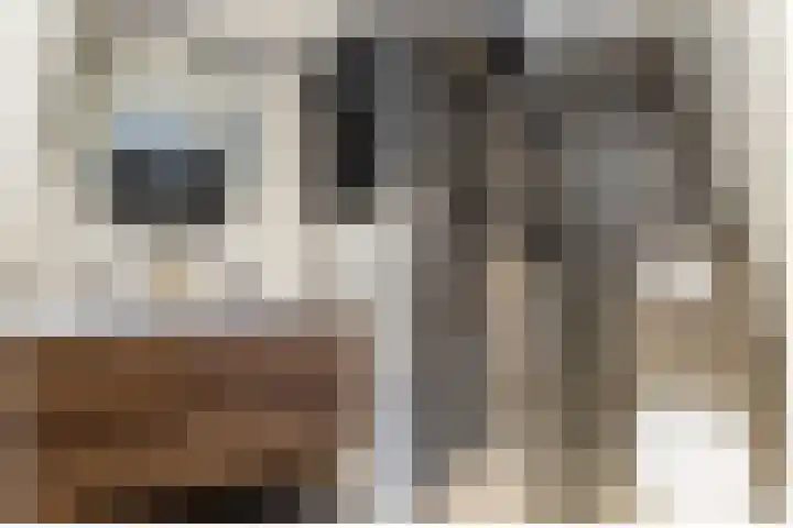 Theresialaan 14 Vught thumbnail 30
