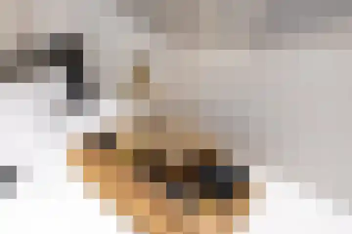Theresialaan 14 Vught thumbnail 31