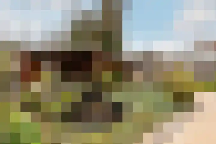 Theresialaan 14 Vught thumbnail 37
