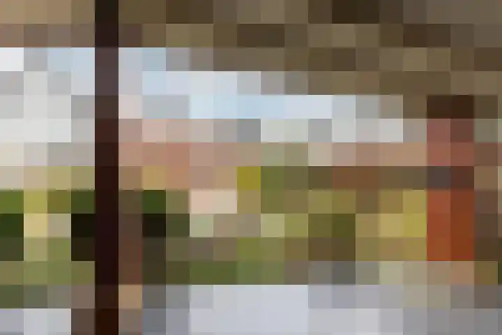 Theresialaan 14 Vught thumbnail 42