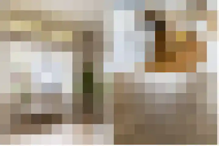 Theresialaan 14 Vught thumbnail 8