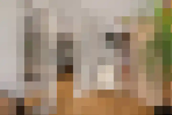 Theresialaan 2 Vught thumbnail 11