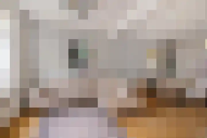 Theresialaan 2 Vught thumbnail 17