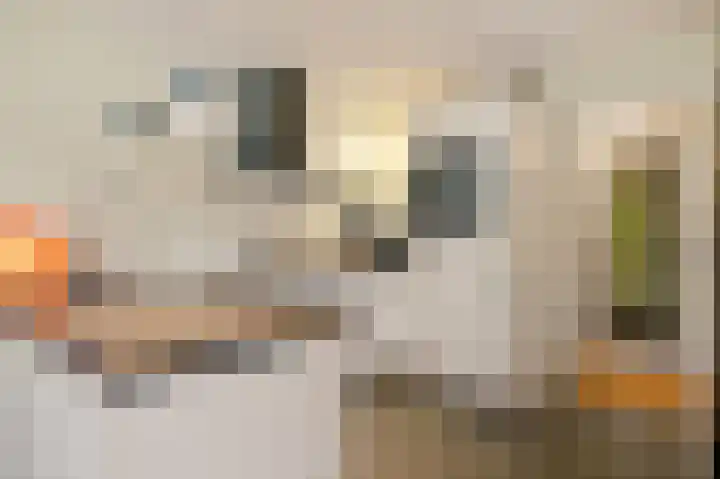 Theresialaan 2 Vught thumbnail 20