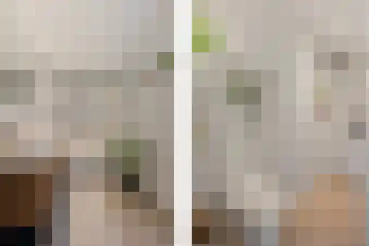 Theresialaan 2 Vught thumbnail 24