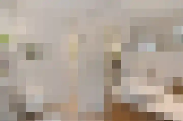 Theresialaan 2 Vught thumbnail 27