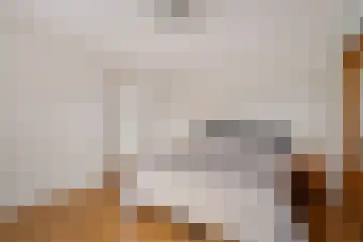 Theresialaan 2 Vught thumbnail 30