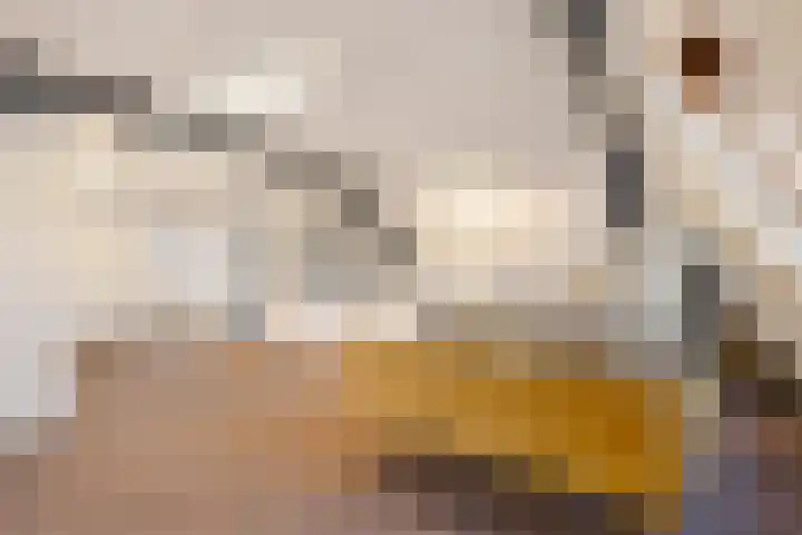 Theresialaan 2 Vught thumbnail 35