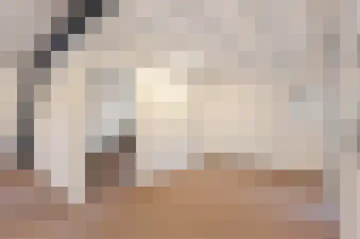 Theresialaan 2 Vught thumbnail 40