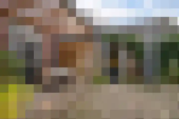 Theresialaan 2 Vught thumbnail 47