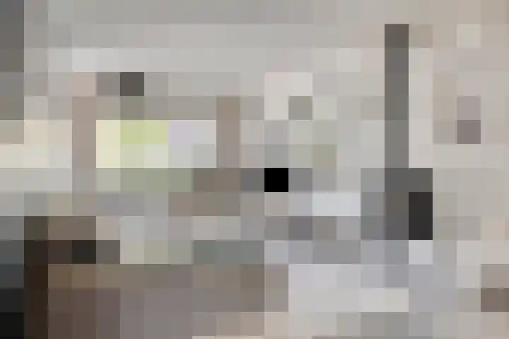 Theresialaan 42 Vught thumbnail 11