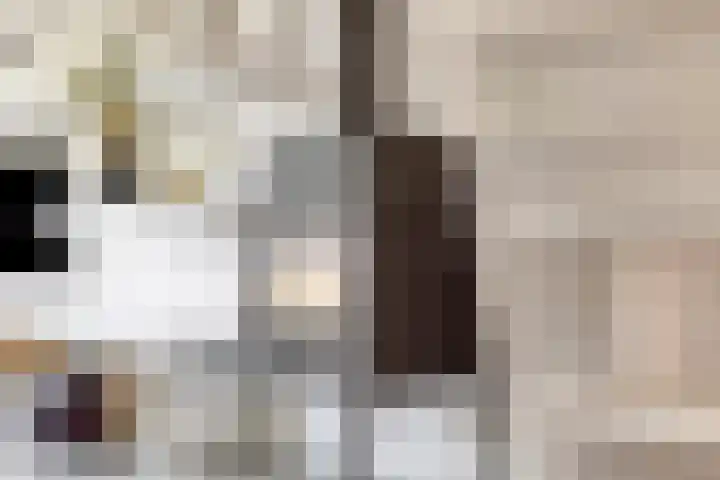 Theresialaan 42 Vught thumbnail 12