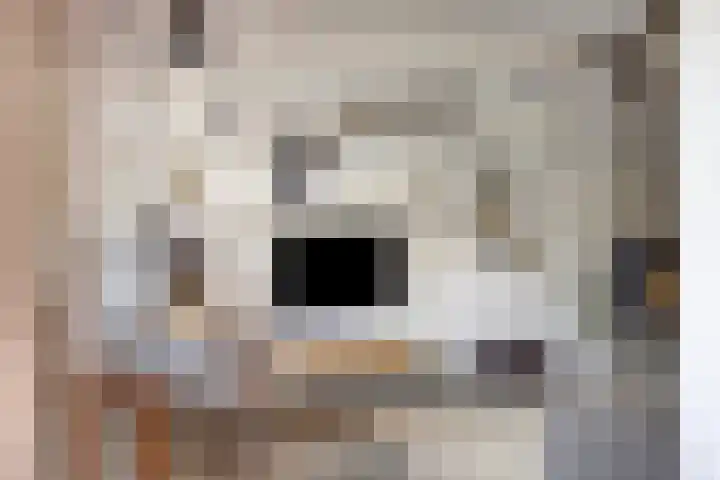 Theresialaan 42 Vught thumbnail 15