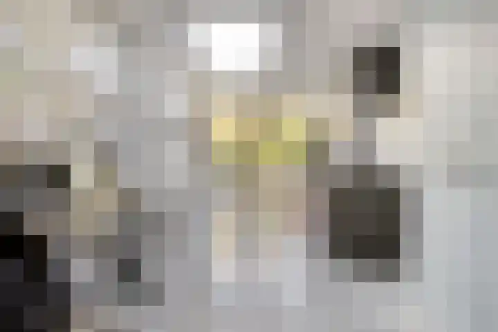 Theresialaan 42 Vught thumbnail 21