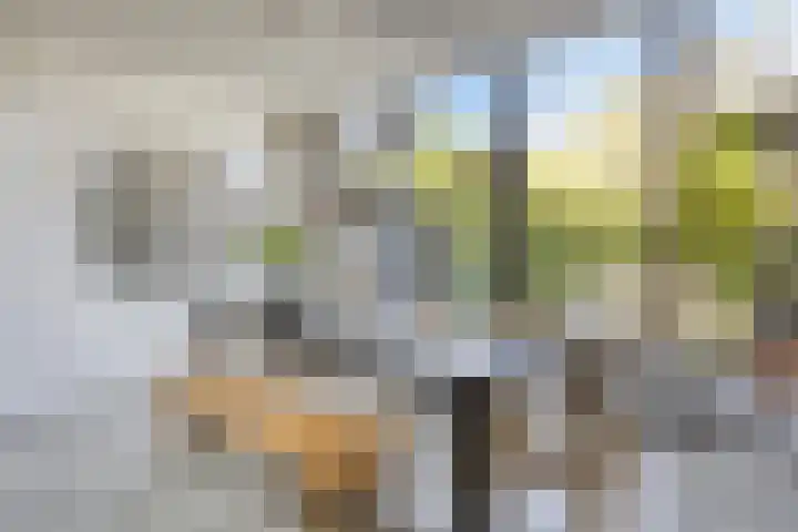 Theresialaan 42 Vught thumbnail 23