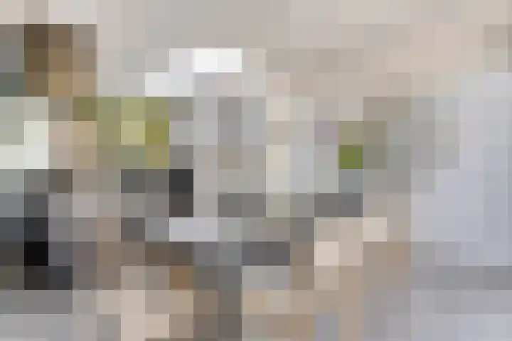 Theresialaan 42 Vught thumbnail 24