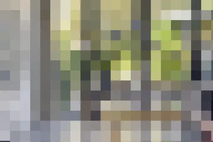 Theresialaan 42 Vught thumbnail 25