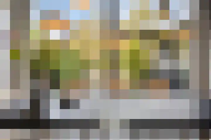 Theresialaan 42 Vught thumbnail 26