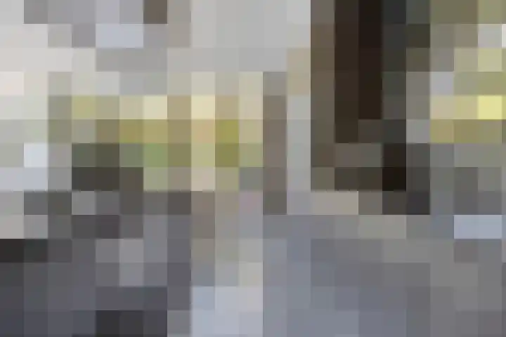 Theresialaan 42 Vught thumbnail 28