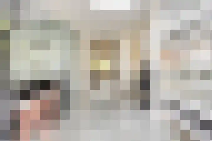 Theresialaan 42 Vught thumbnail 30