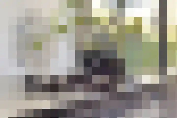 Theresialaan 42 Vught thumbnail 33